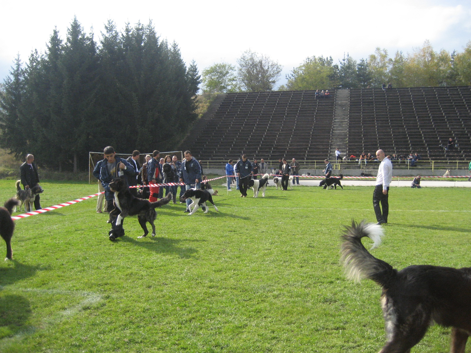 izlojba na kucheta na 25.10.09. - grad Razlog