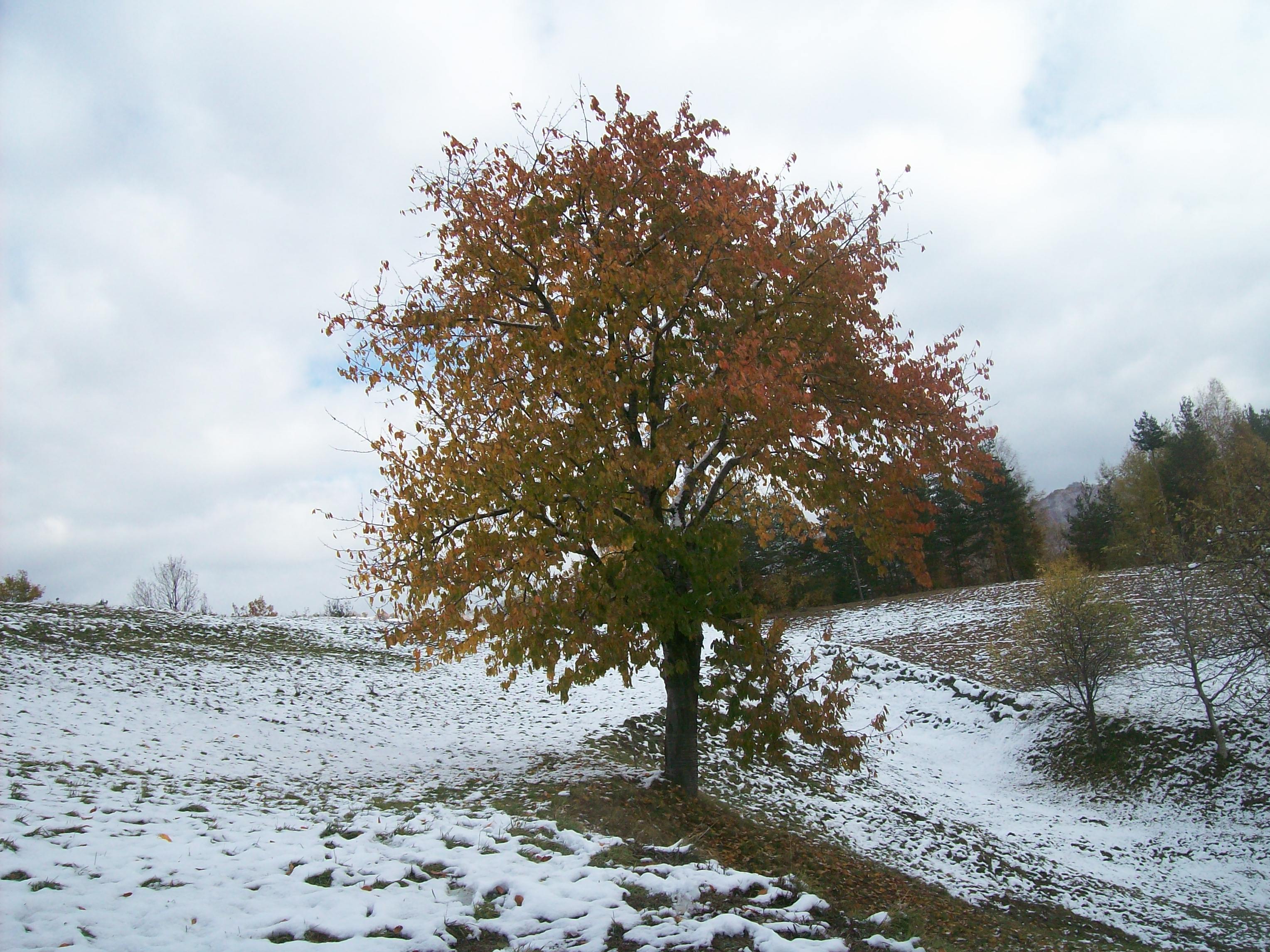 Зима на село