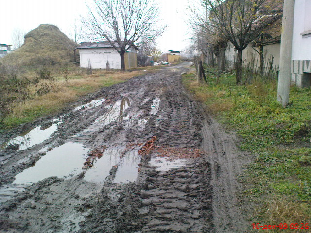 улица 19,в село мокрище.пазарджишко.