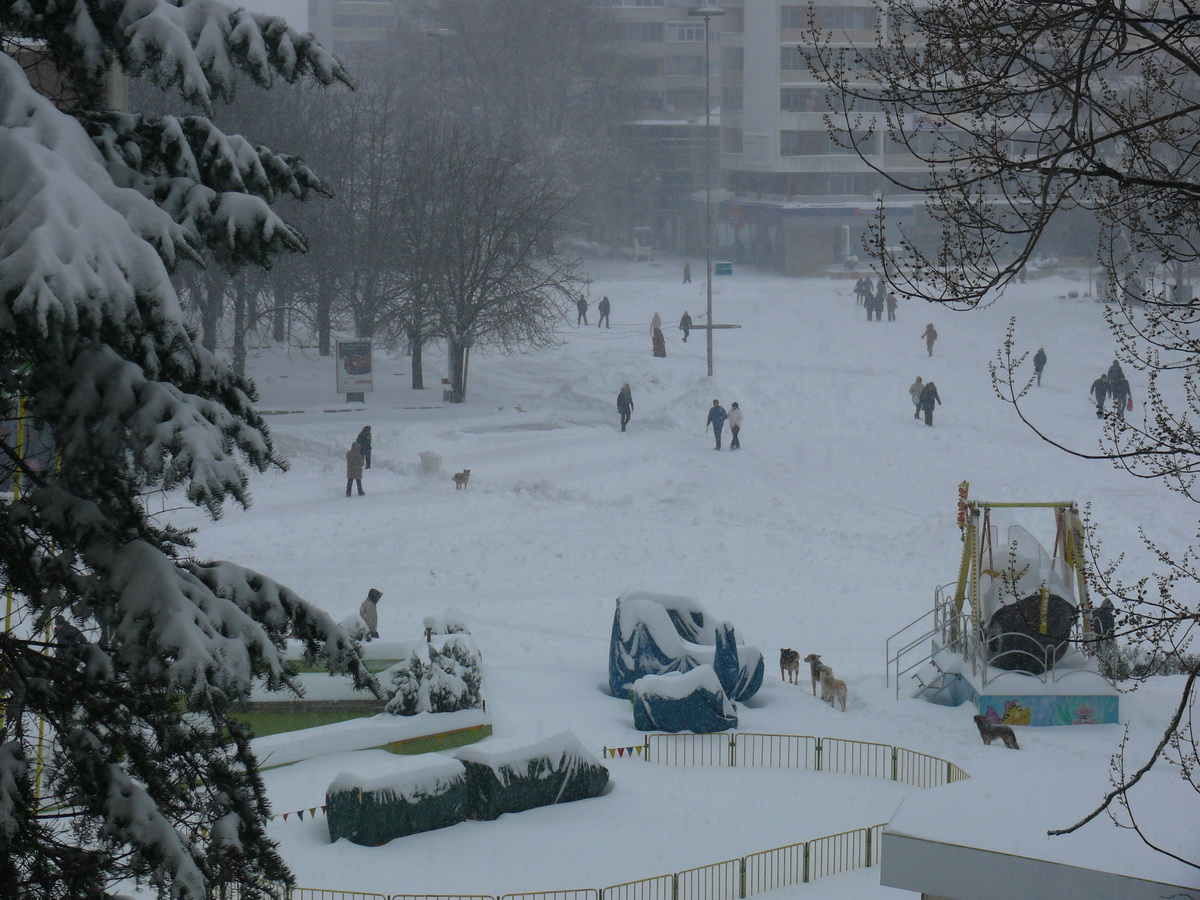 ситуацията в Добрич 19.01.10