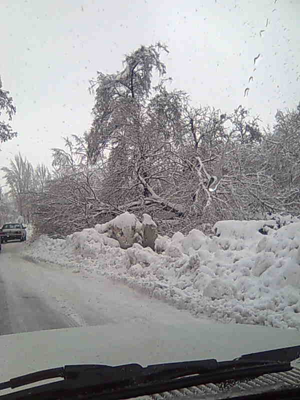 Snimki ot Haskovo