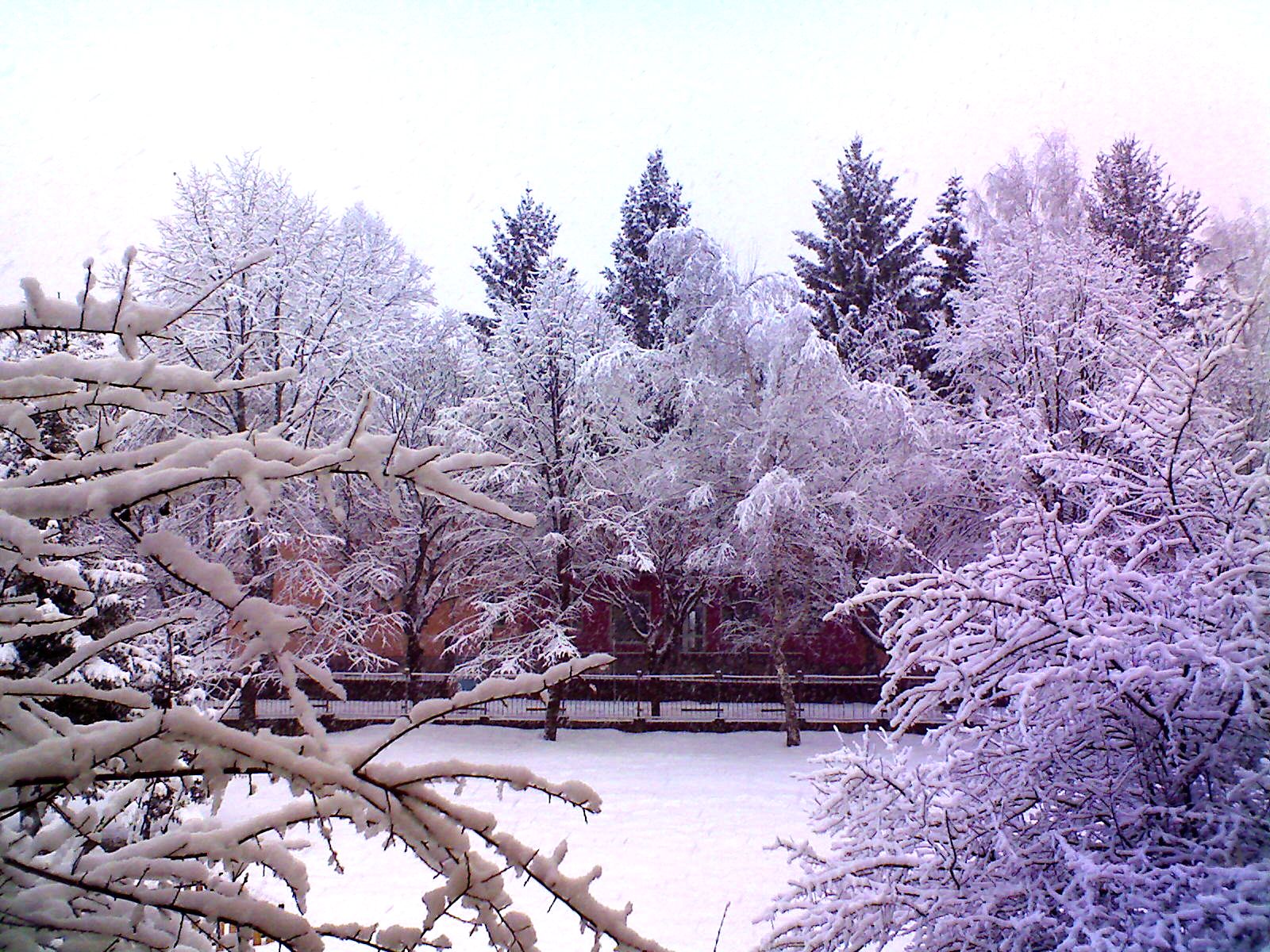 Зимна приказка в Троян на 15.02.2010 г.