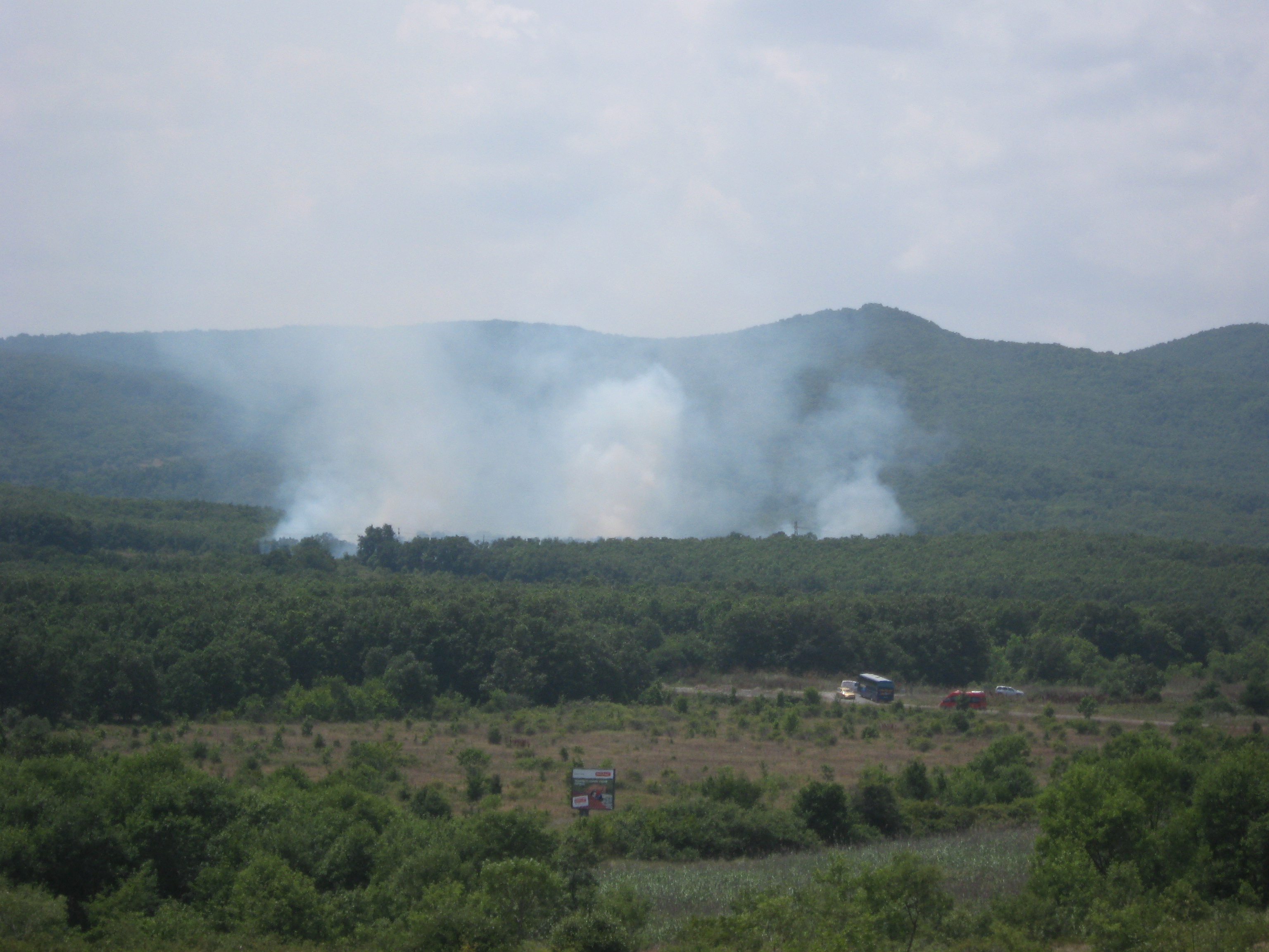 пожар в Странджата