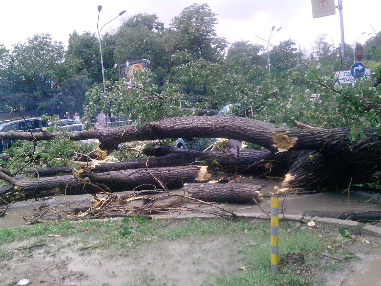 летен ужас във Варна