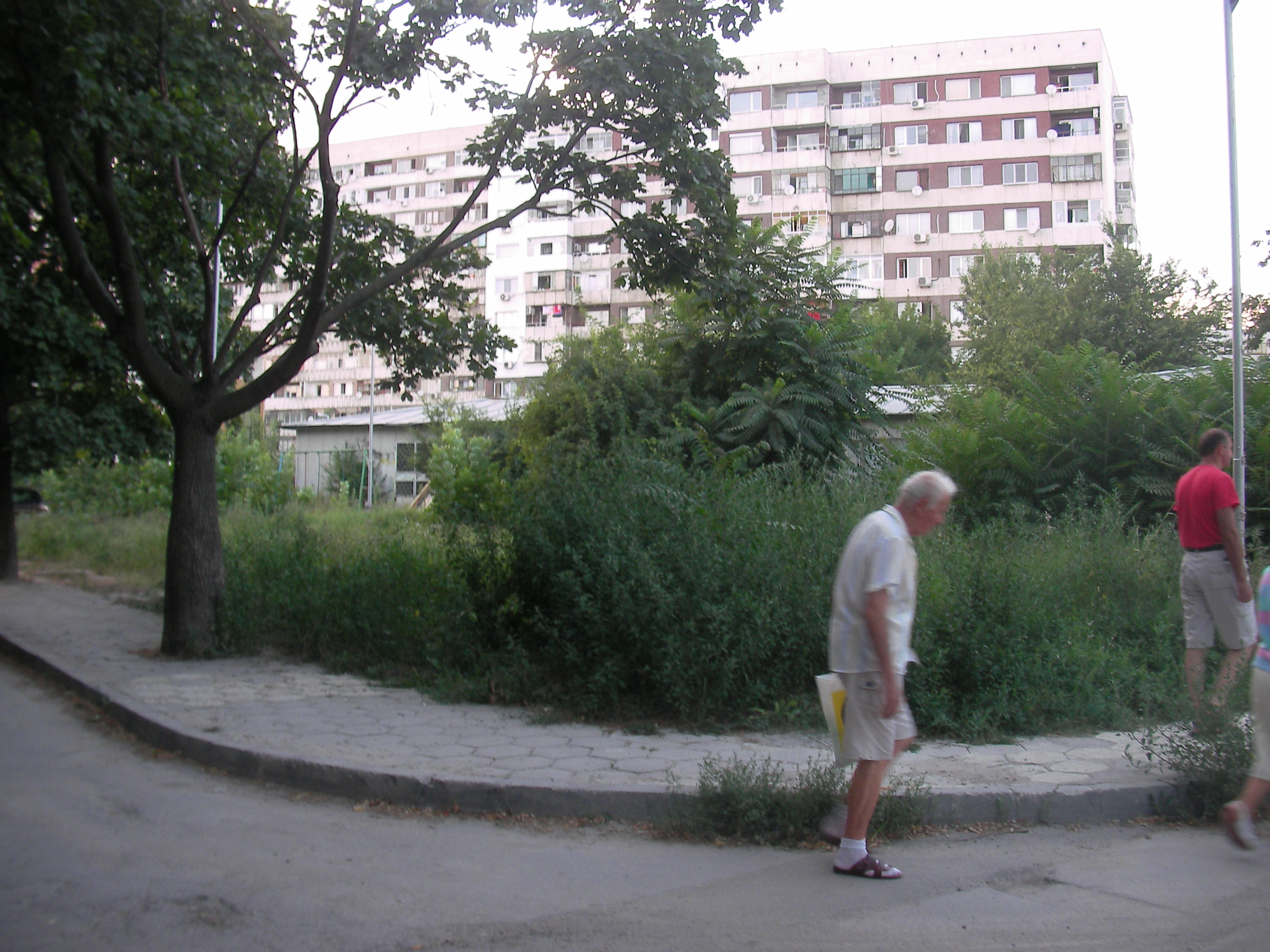 трева с височината на човек в централните части на град Варна