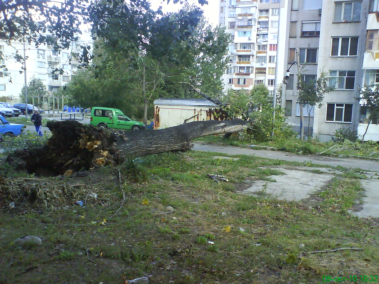 силен вятър и паднали дървета в стара загора