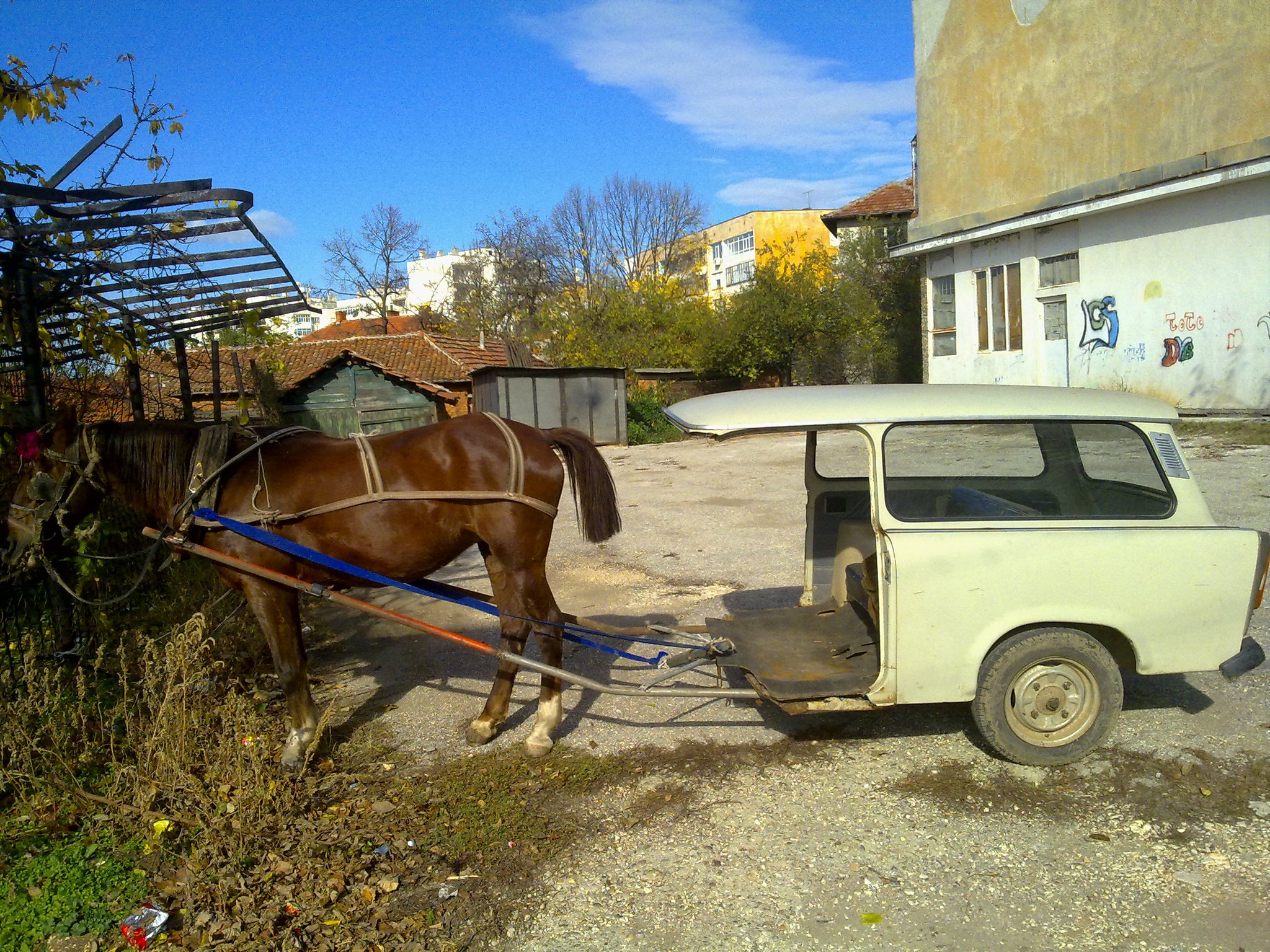 да се живее в България е цирк