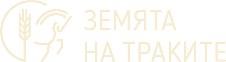 ZNT Logo