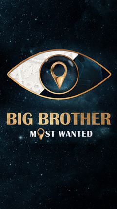 Big Brother: Most wanted