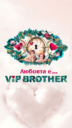 VIP Brother 2017