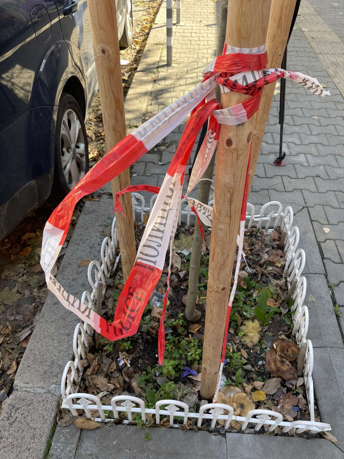  ликвидиране 