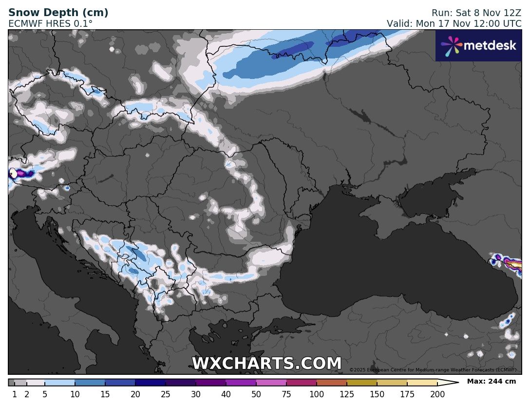 Снимка: Николай Василковски