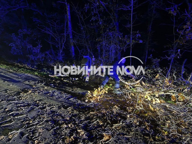 Снимка: Цеца Алексова