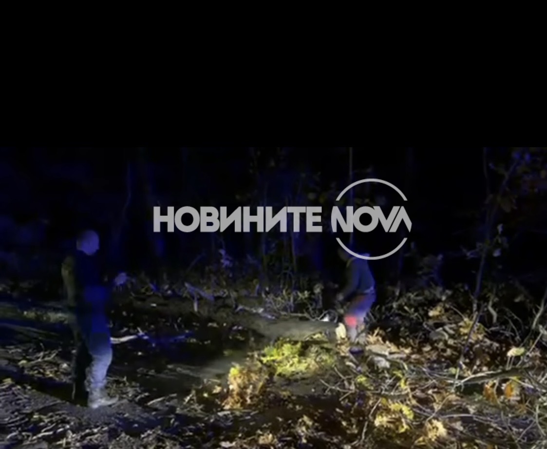 Снимка: Цеца Алексова