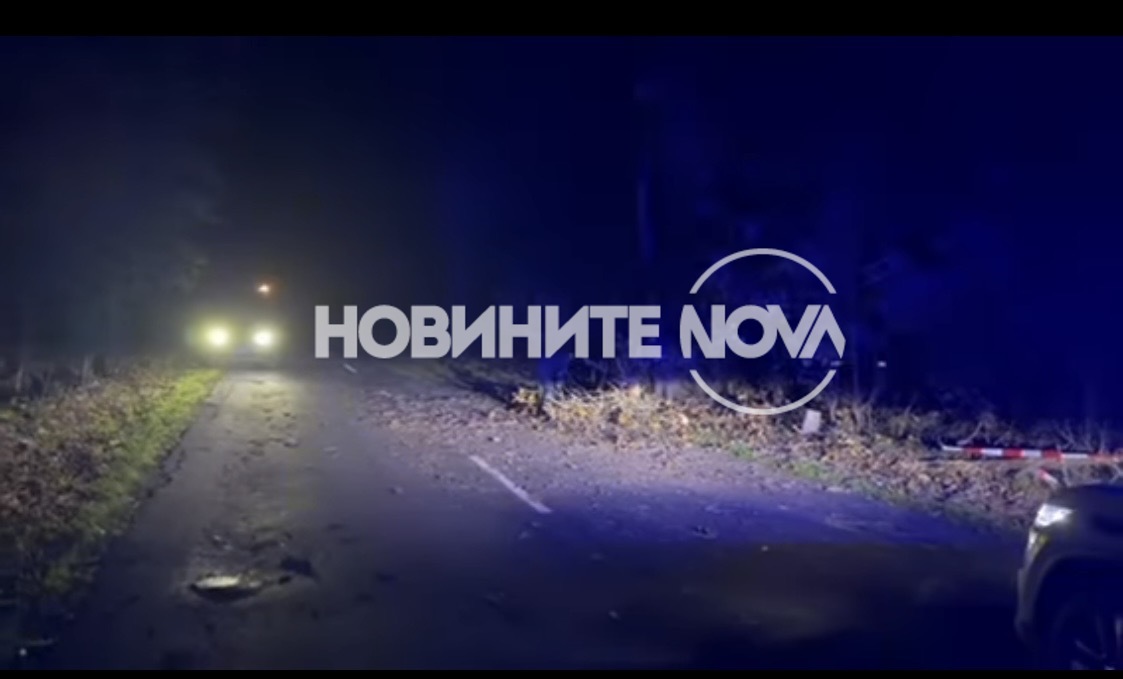 Снимка: Цеца Алексова