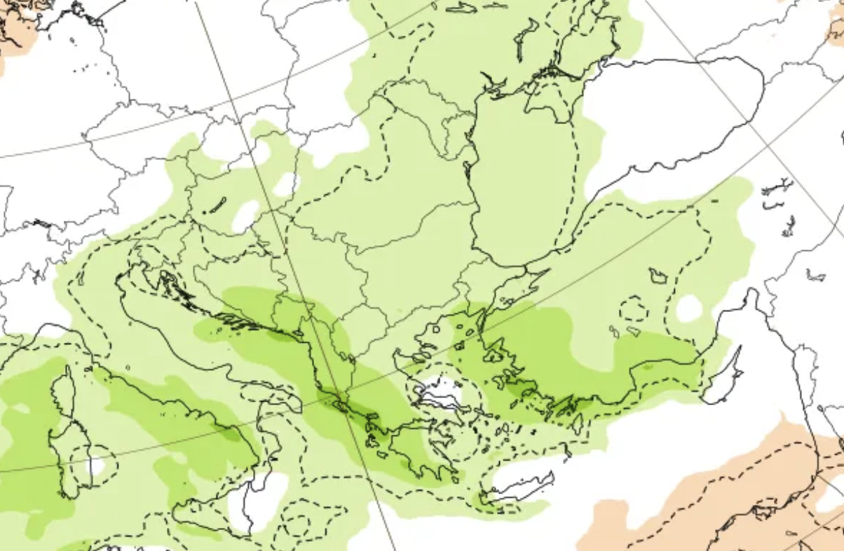 Снимка: Николай Василковски
