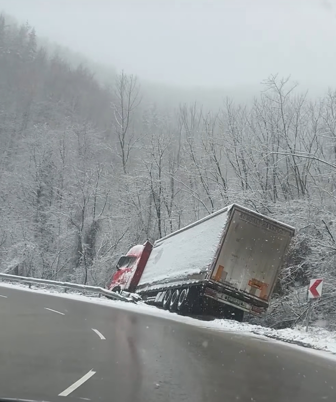 Снимка: Мартин Георгиев