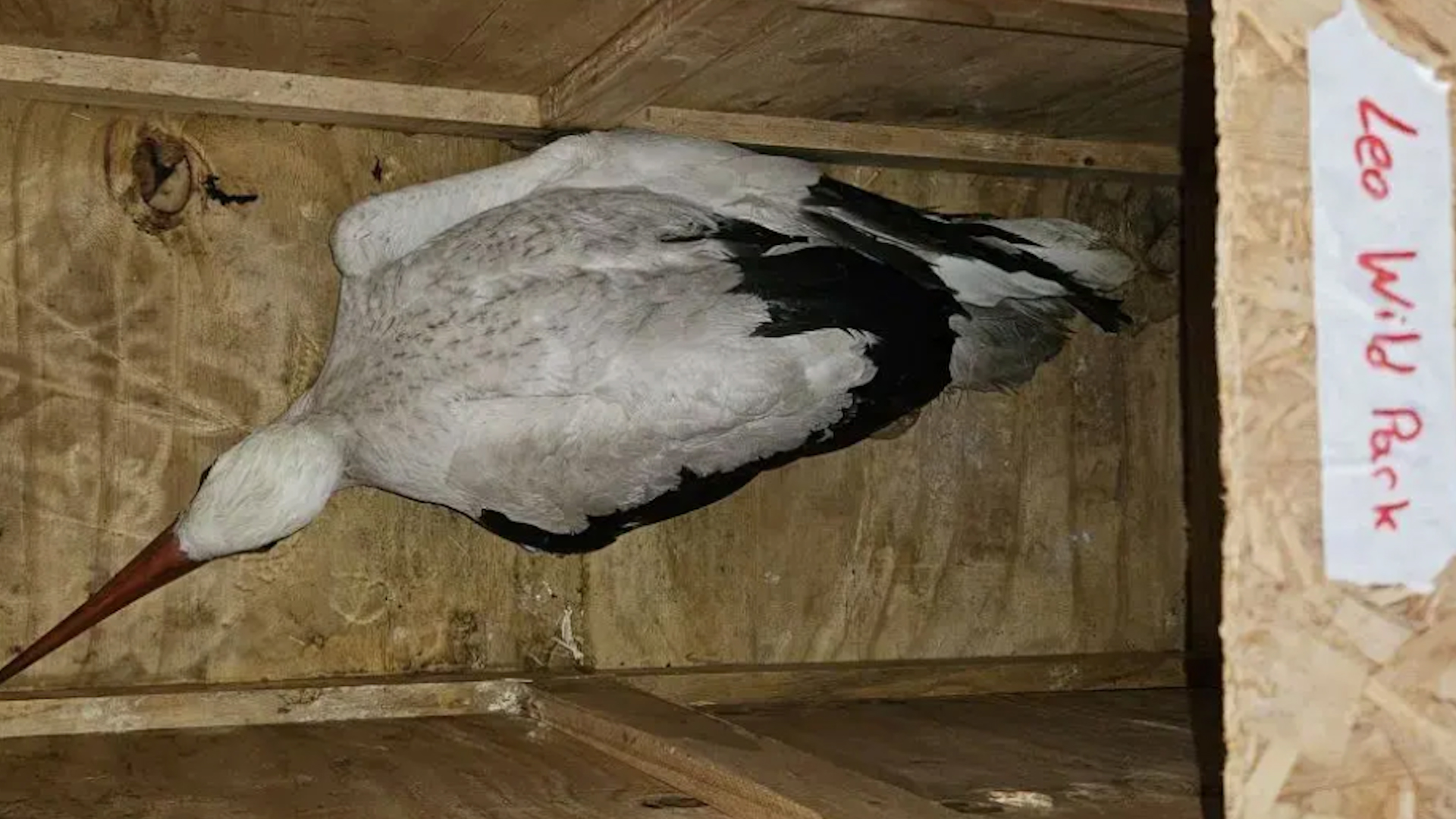 Снимка: Зелени Балкани