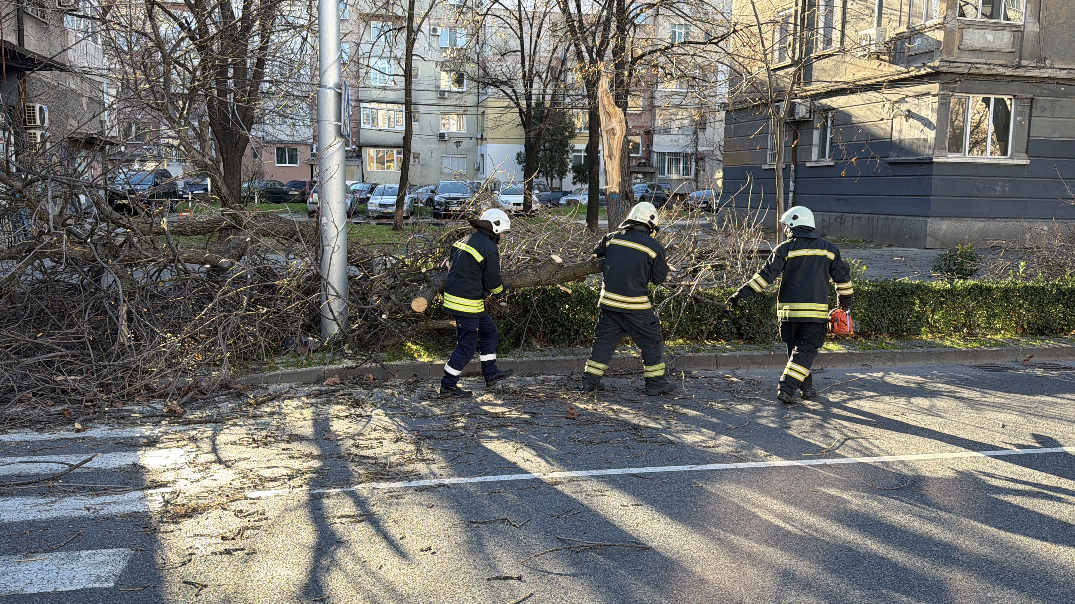 Снимка: Илиян Велков