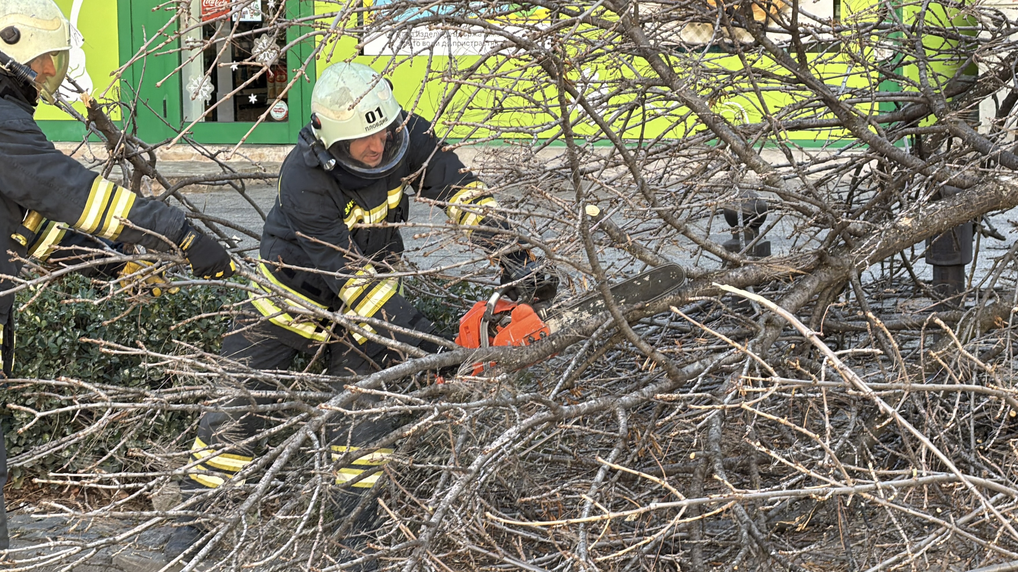 Снимка: Илиян Велков