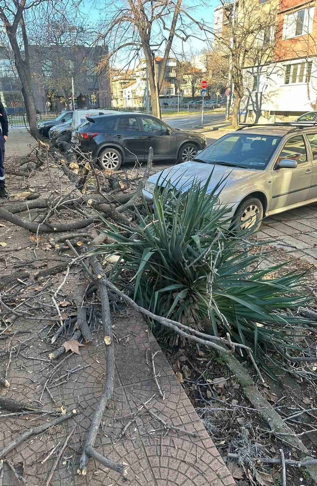 Снимка: Илиян Велков