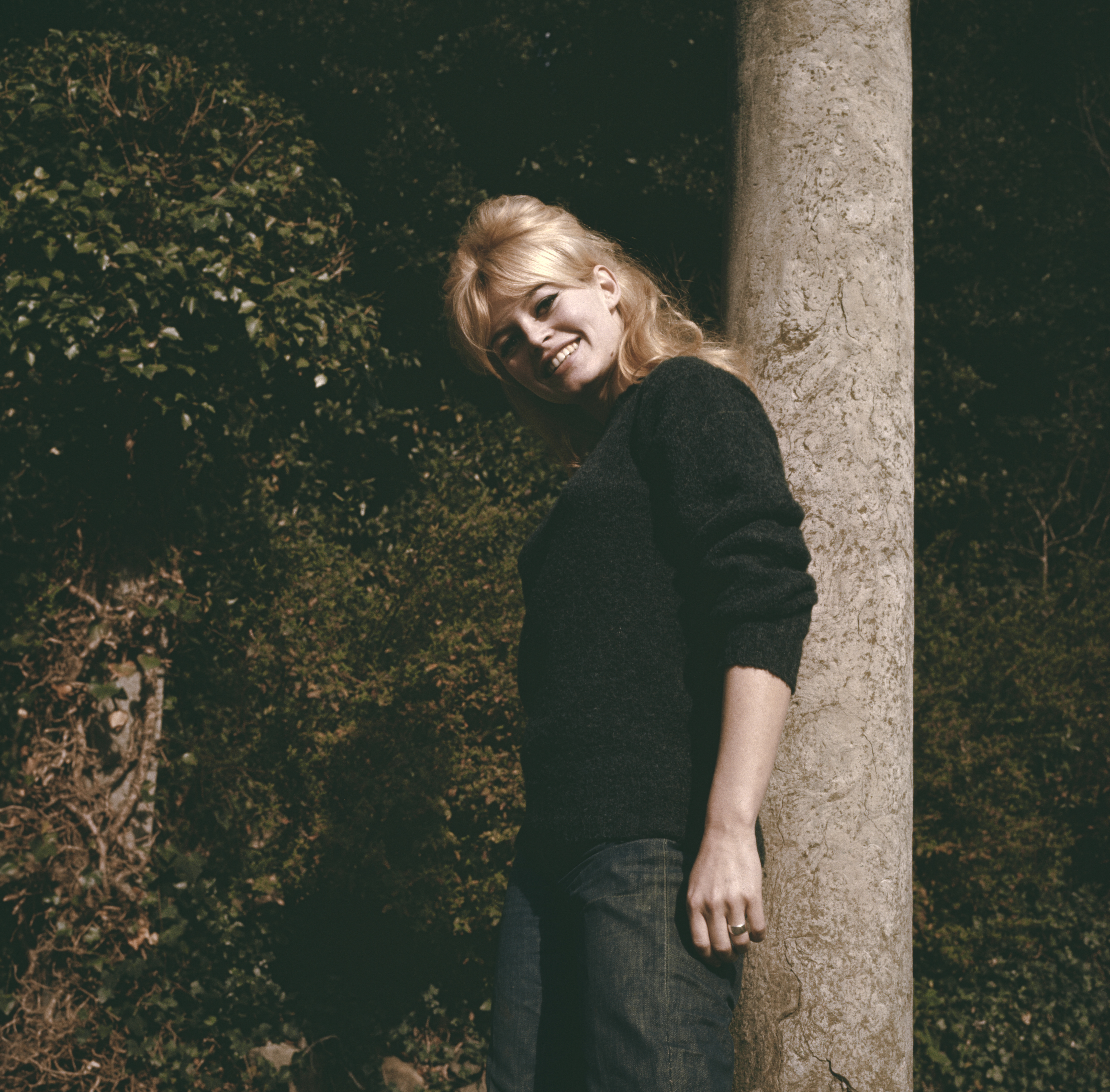 брижит бардо