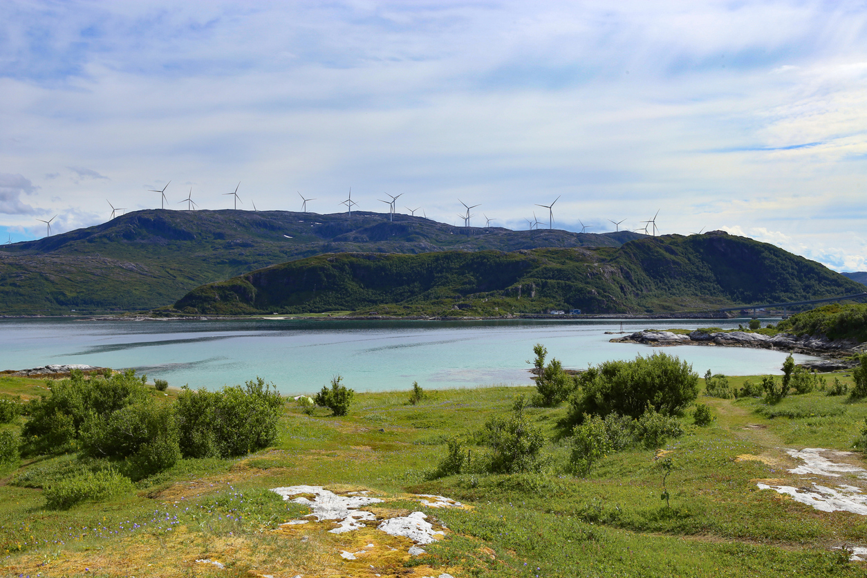 Снимка: iStock