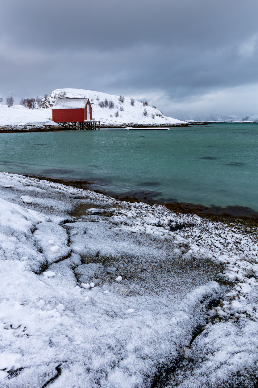 Снимка: iStock