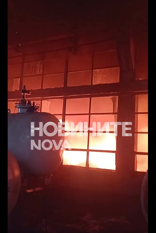 Снимка: Мартин Георгиев