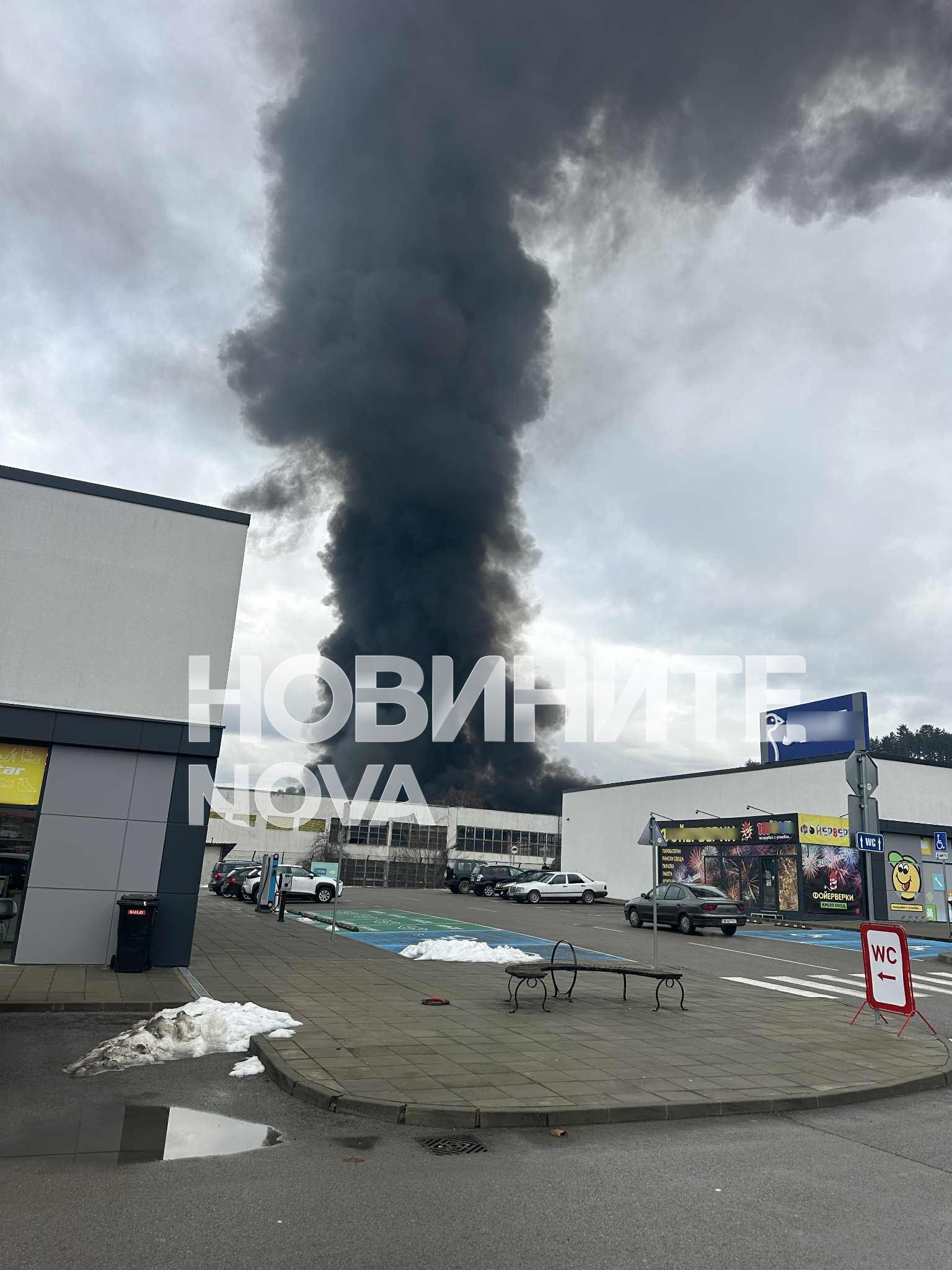 Снимка: Мартин Георгиев