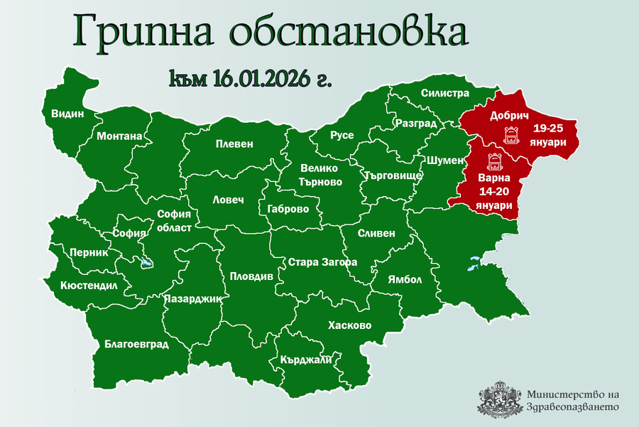 Грипна епидемия