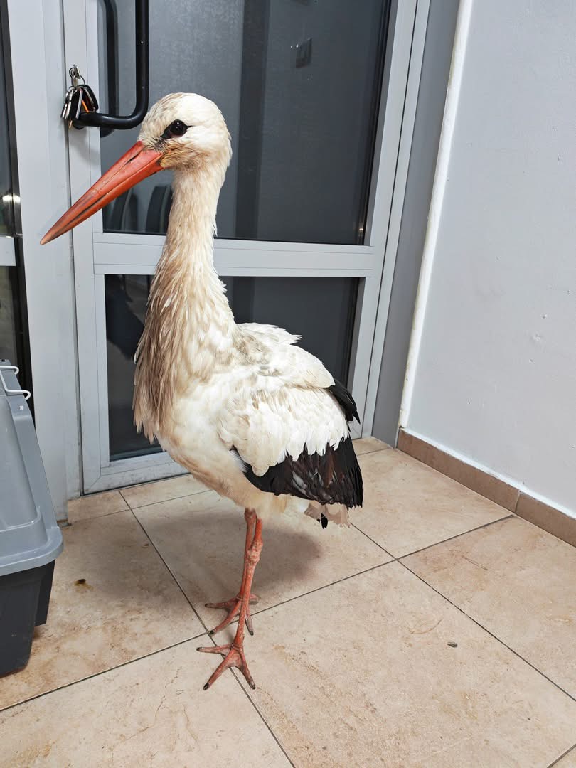 Снимка: РИОСВ-Бургас