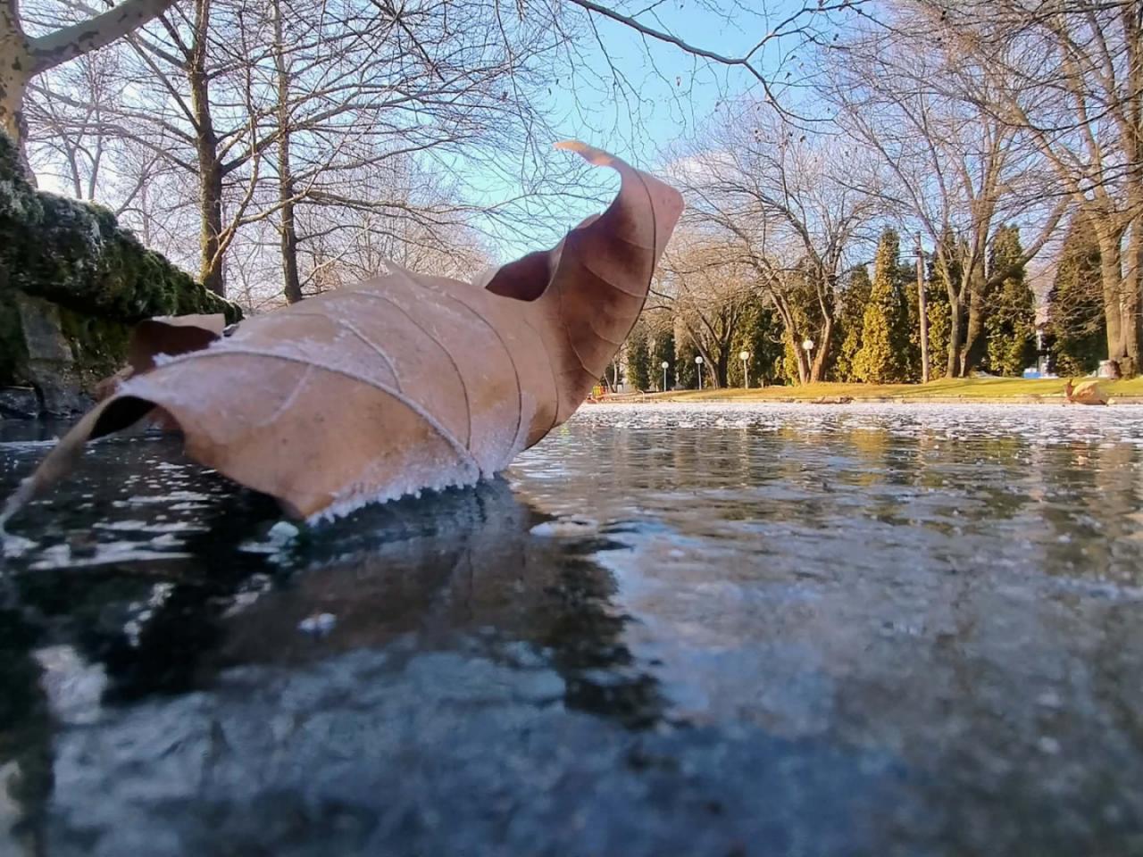 монтана, студ