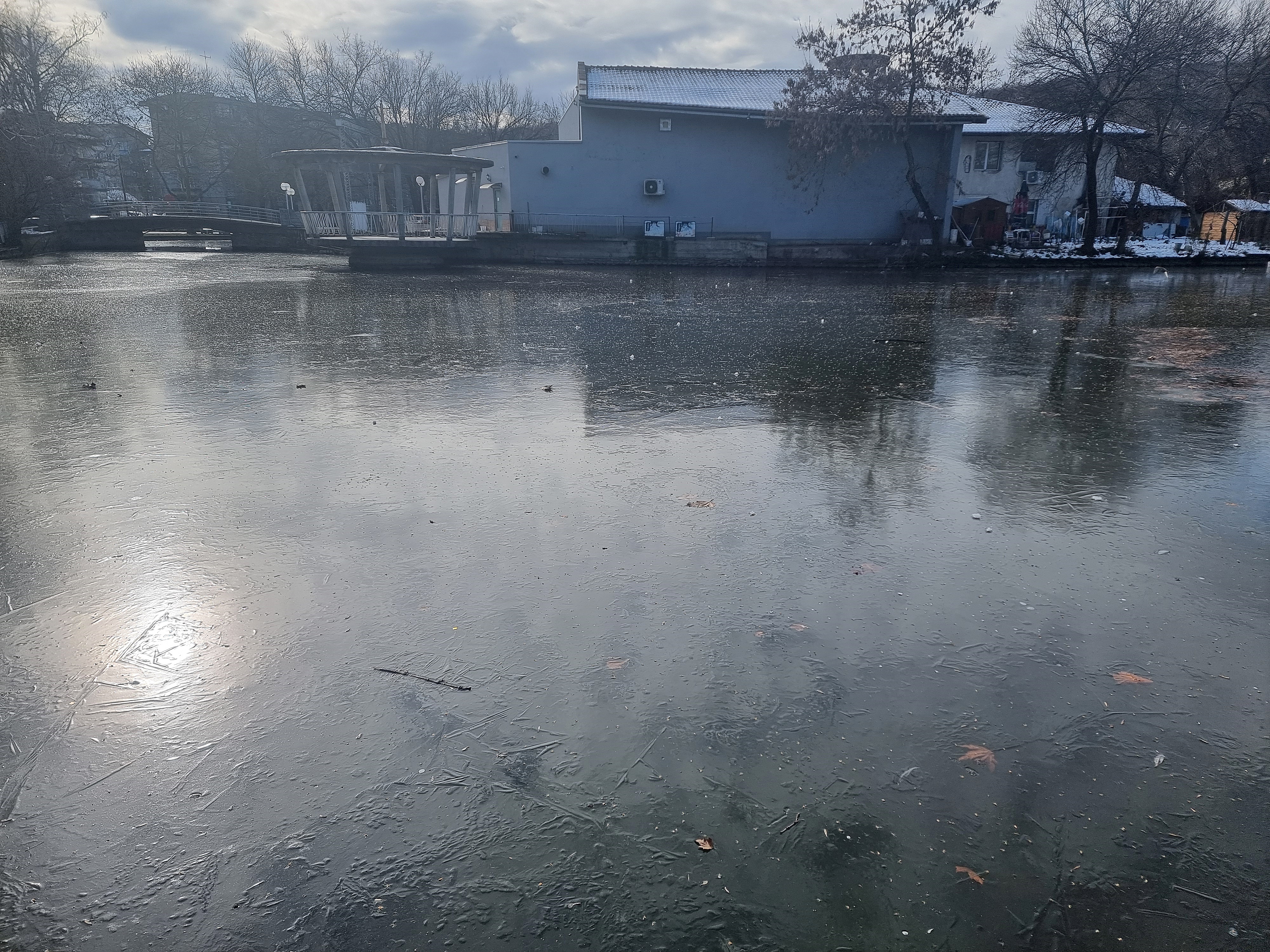 монтана, студ