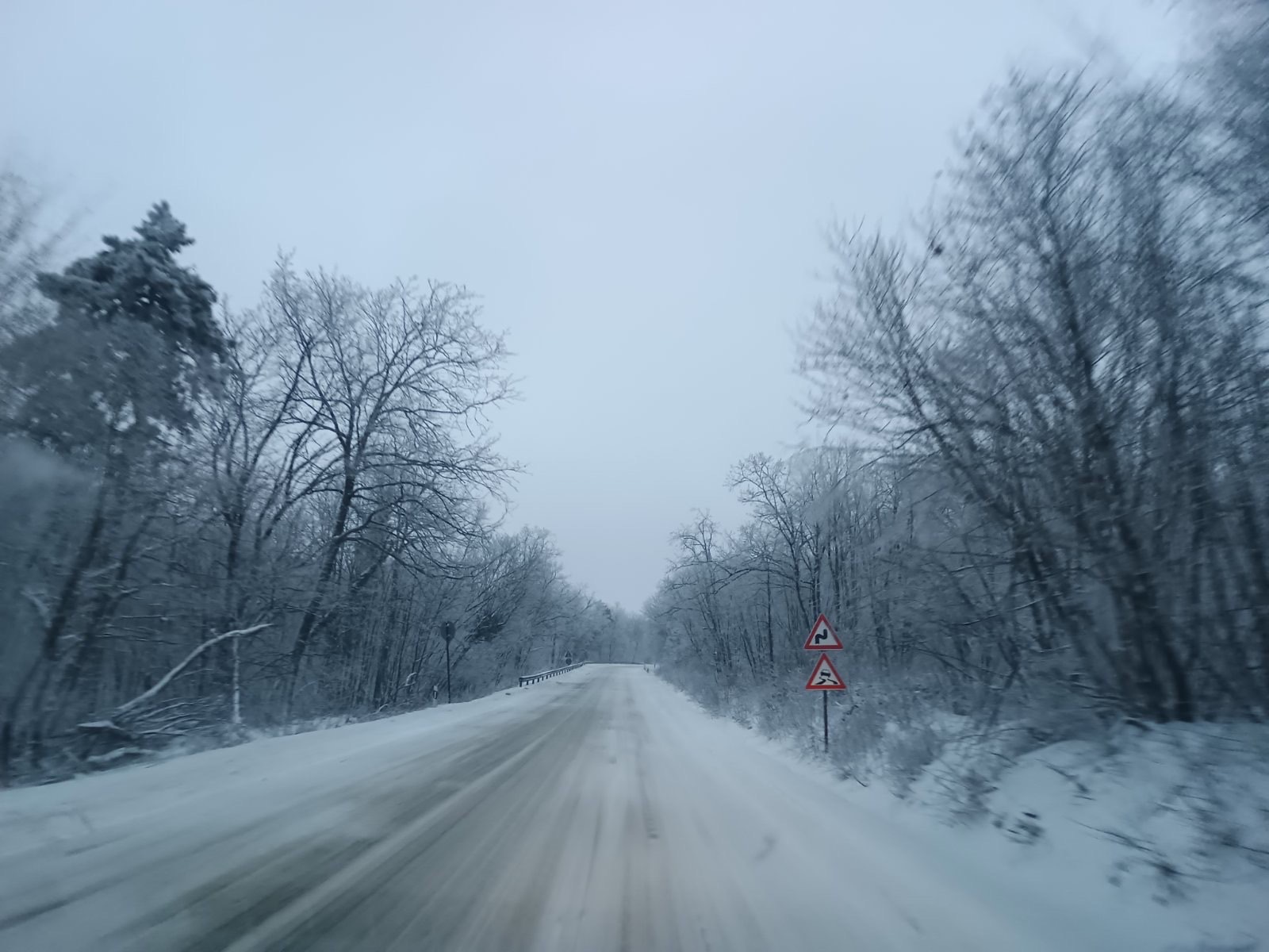 Снимка: Цеца Алексова
