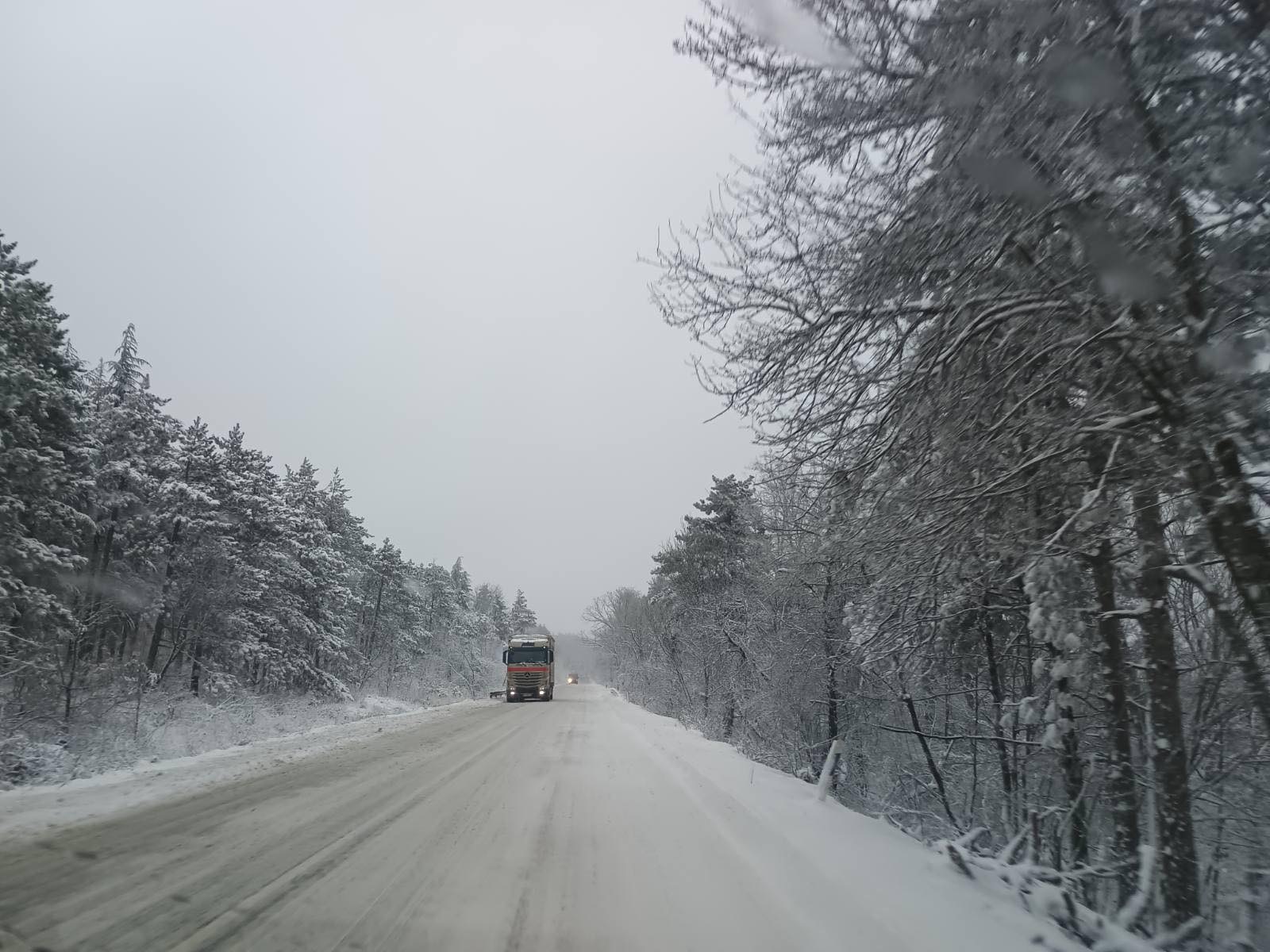 Снимка: Цеца Алексова