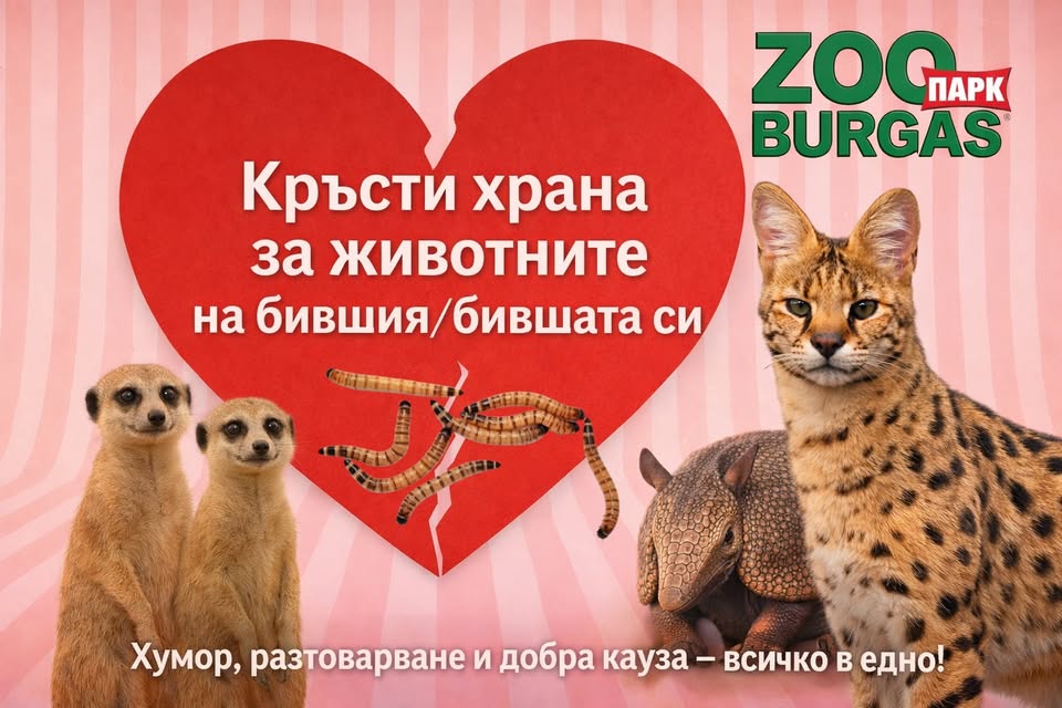 зоопарк бургас