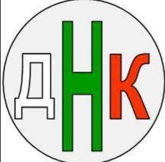 ДВИЖЕНИЕ НА НЕПАРТИЙНИТЕ КАНДИДАТИ