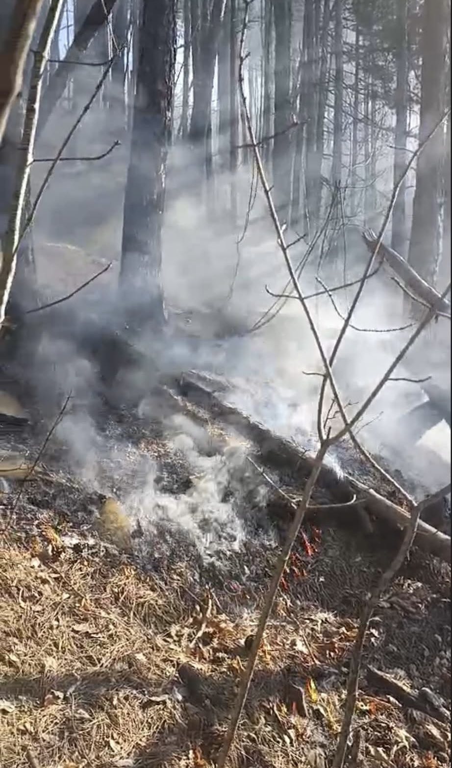 Снимка: гл. инсп. Петър Петров