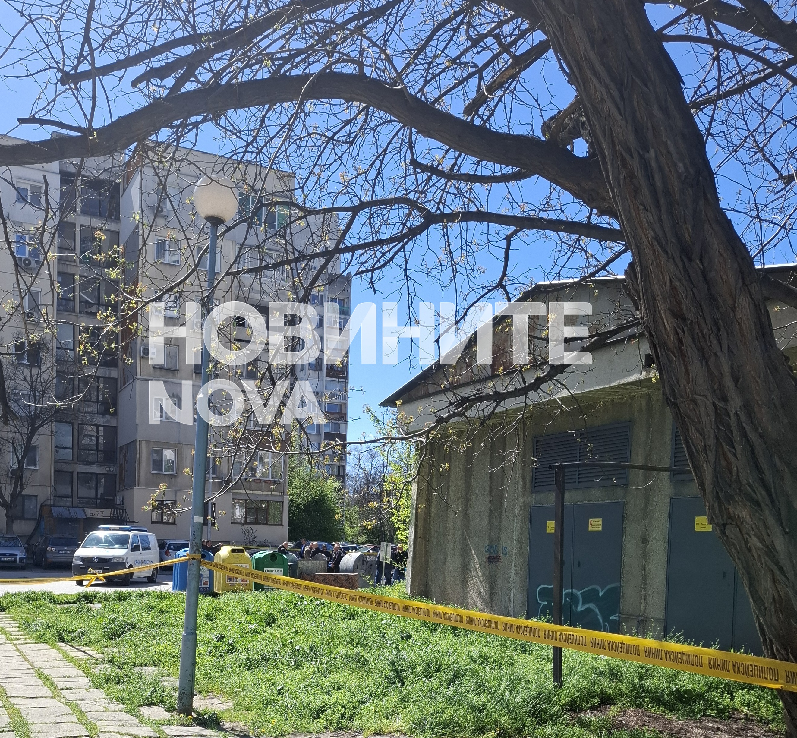 Снимка: Благой Бекриев