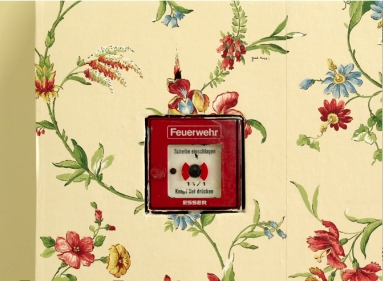 недко солаков