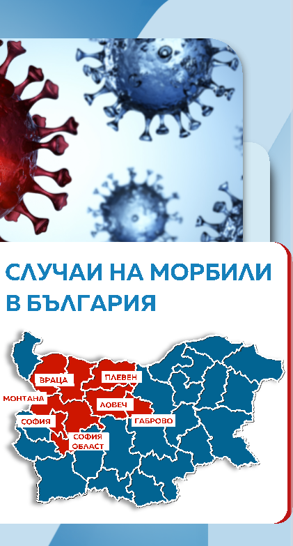 Морбили