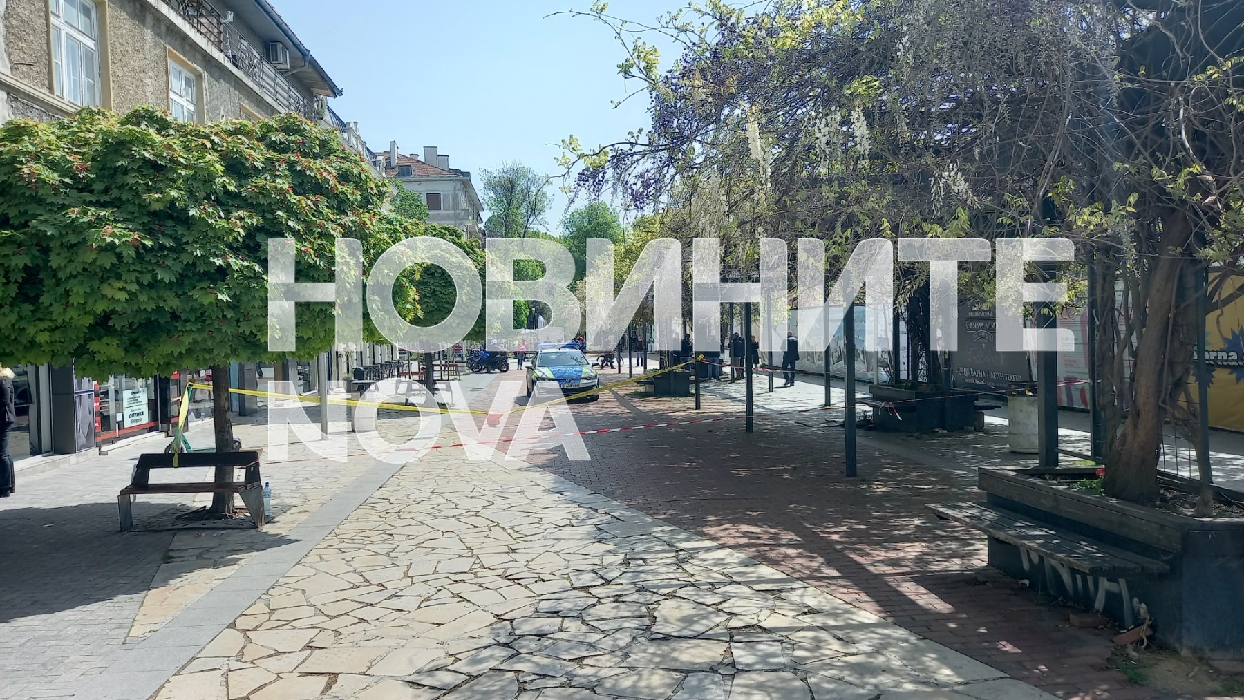 Снимка: Емил Дамянов
