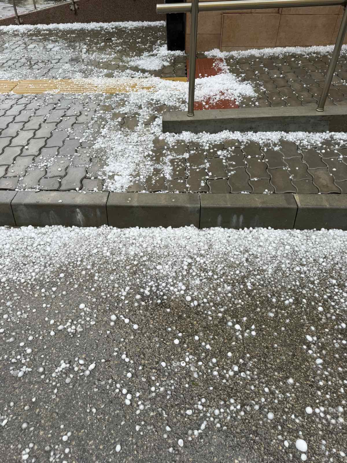 снимка