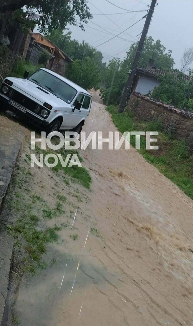 Снимка: Мартин Георгиев