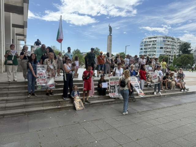 протест