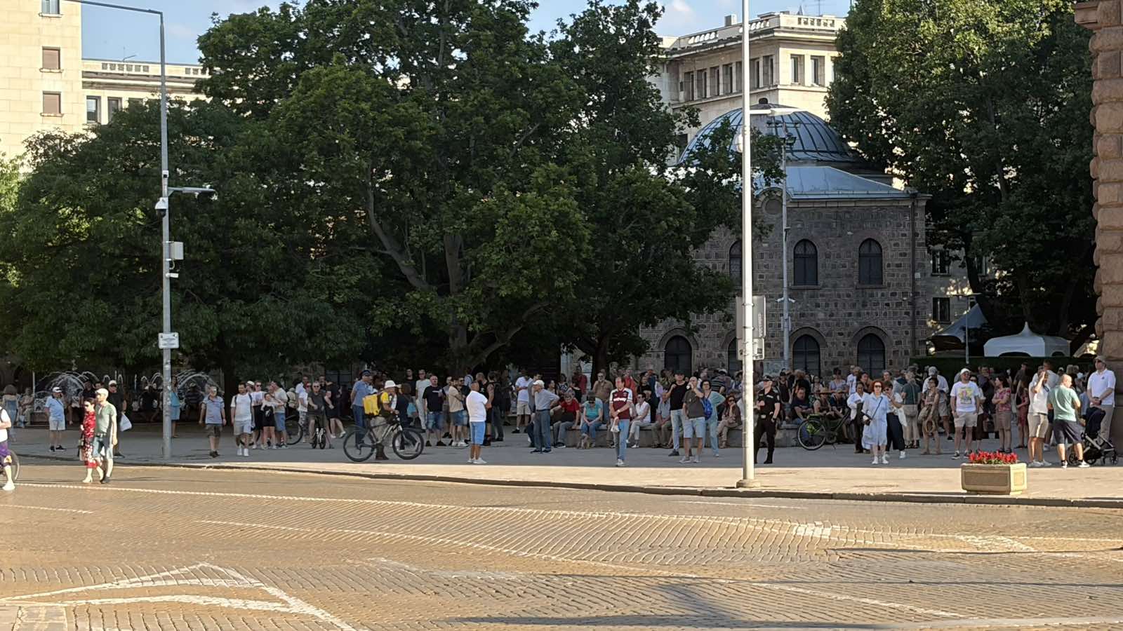 протест