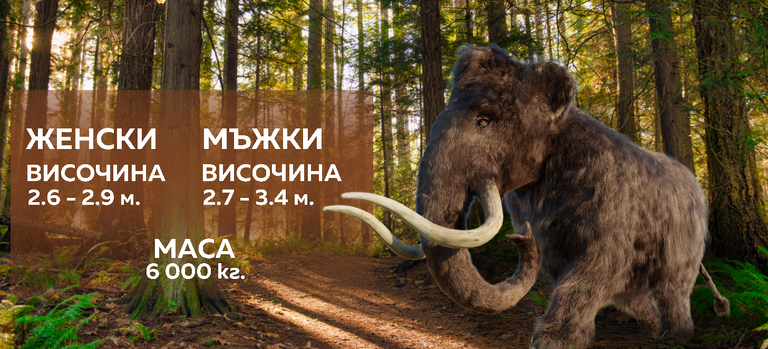снимка