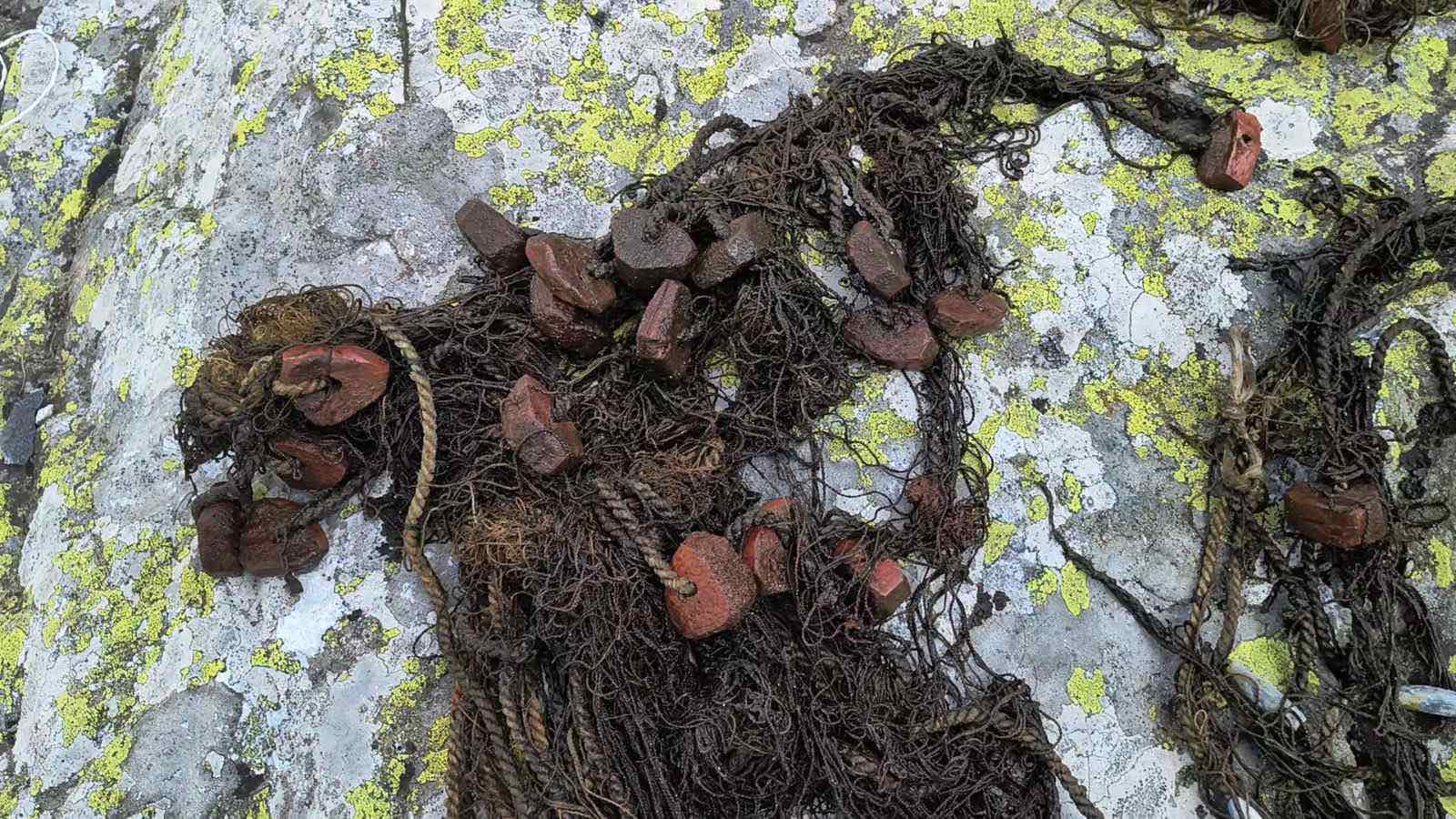 Национален парк Рила