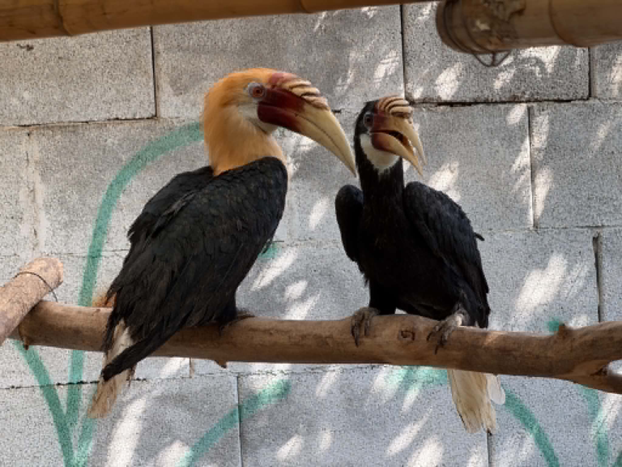 Снимка: Зоопарк Бургас